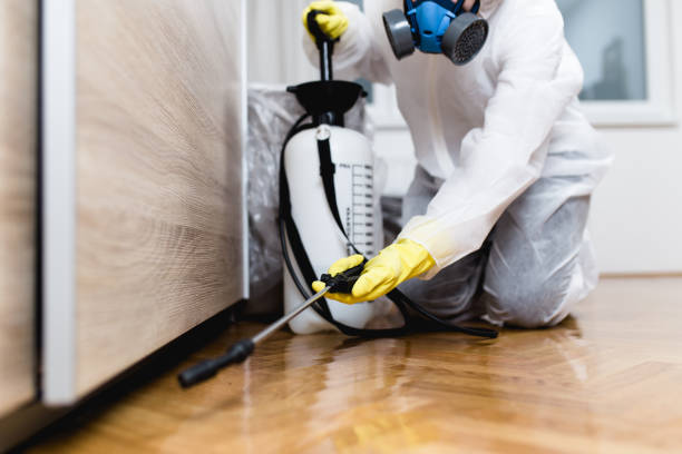 Best Pest Control Near Me in Kitsap Lake, WA