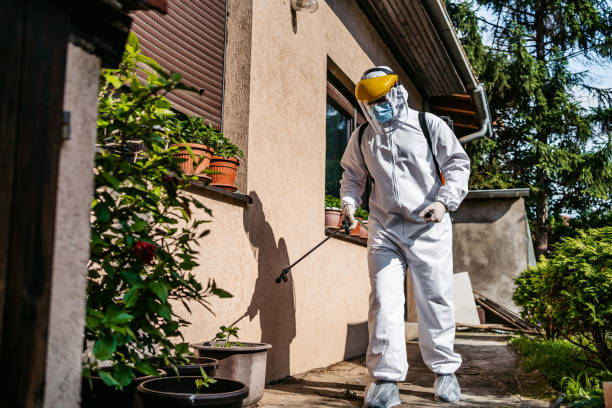 Trusted Kitsap Lake, WA Pest Control Experts