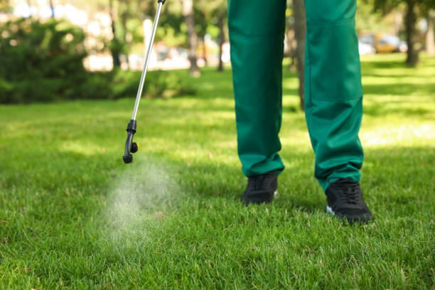 Best Pest Removal Services  in Kitsap Lake, WA