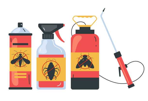 Best Termite Control Services  in Kitsap Lake, WA